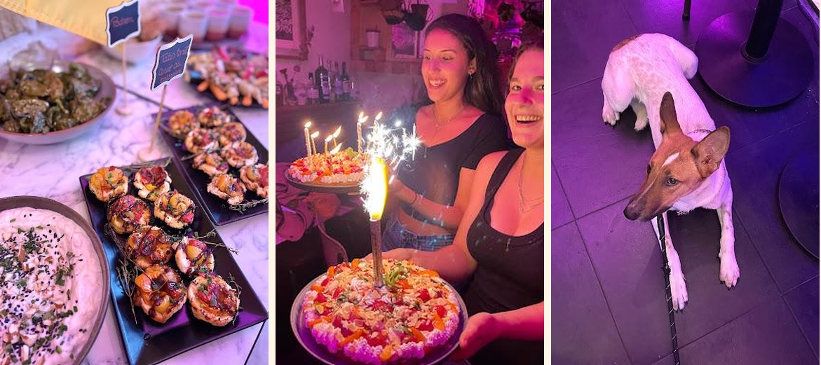 Urban Greener - Gallery Image 4